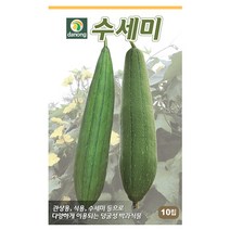 수세미씨앗 200립