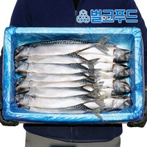 노르웨이고등어 16마리 간고등어 생선구이 업소용, 옵션2. 자반고등어 16마리 왕특대(5.2kg)