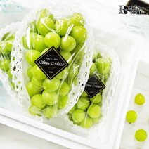 블랙라벨 샤인머스켓 1.8kg 아이스박스, 없음