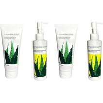 1+1 청미정 알로에 발효 클렌징 오일 청미정 클렌징 폼 2종, 1+1 클렌징 폼 + 클렌징 오일