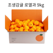 조생 감귤 9kg 로얄과(S-M)