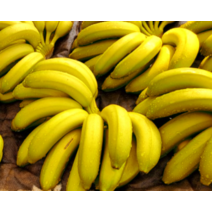 국내산 유기농 바나나 1.5kg 경남 산청 친환경