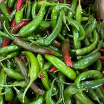 지구별장터 국내산 못난이 청양고추 땡초, 2kg, 1개