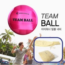 {뉴스포츠}팀볼 게임볼 킨볼게임 내피
