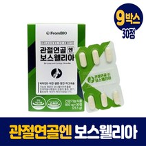 프롬바이오 관절 연골 보스웰리아 보수엘리아 보스엘리아정 보스웰니아 보스웰리스 보수웰리아 1개월 2개월 3개월 4개월 5개월 6개월분, 9박스, 30정