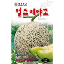 얼스미야꼬 멜론 씨앗 메론 종자 과일 하계용 100알