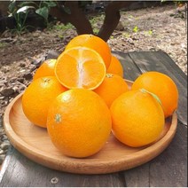 서귀포 고당도 제주 황금향 일반용 선물용 3kg 5kg, 황금향 소과3kg