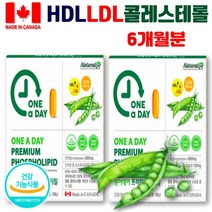 레시친 lecithin 인지질 낮은 HDL 콜레스테롤 ldl 포스파티딜콜린 함량 뇌에좋은 식물성 단백질 레시틴