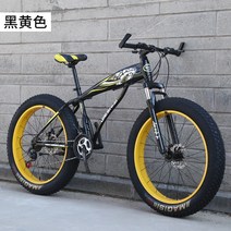세발전기자전거 배달 삼륜 24 인치 산악 자전거 해변 오프로드 큰 두꺼운 바퀴 40 넓은 타이어 성인, 2+24