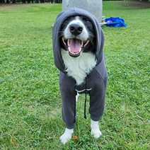 [위드레오] 대형견 중형견 그레이 후드 티셔츠 봄가을 기모 큰개옷 7호-11호, 기모겨울