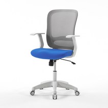 보네드 바이런 화이트 컴퓨터 사무실 학생의자 공부 책상의자, 그레이 등받이, 아쿠아 블루