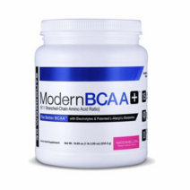 535.5g BCAA+ 모던 유에스피랩스, 프룻펀치FruitPunch×535
