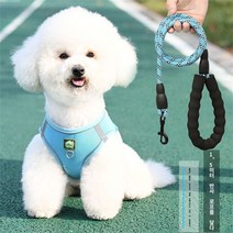 Daegu 조끼식 강아지 견인줄 소형견 비숑 푸들 테디보미 강아지 애완동물 가슴 멜빵 산책개 견인줄 + 끈 1.5MGYF082409, 블루세트