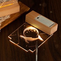 DIY 무선 아크릴 무드등 조명 만들기 미니 알뜰형, 없음