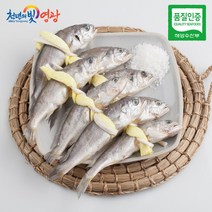 [해상굴비] 영광 법성포 참굴비 2호 1.2kg(20미), 단품