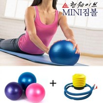 미니짐볼 펌프 세트 5개 튼튼짐볼 맛사지짐볼 다이어트볼, 04)미니짐볼펌프세트 블루