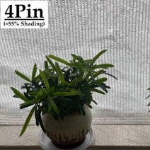 선쉐이드 차양막 그늘막 차광 흰색 방지 차양 그물 쉼터 야외 농업 정원 다육 식물 커버, 4Pin White+2mx5m