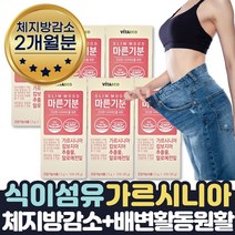 식약처인증 hca다이어트800mg 차전자피 식이섬유 2달 피하지방 얼굴살 팔뚝살 볼살 여자뱃살 빼는법 복부다이어트 뱃살빼기 복부살빼기 기초대사량 내장지방빼는 알로에 약 60일분