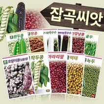다농 콩 팥 녹두 감자 잡곡류 옥수수 종자 씨앗모음전, AQ03=빨간강낭콩씨앗30g!
