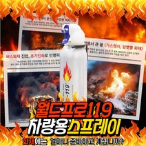 차량용 비상 소화기 자동차 간이소화기 거치대포함, 스프레이, 1개