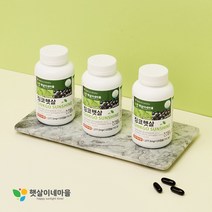 징코햇살 120캡슐 감마리놀렌산 은행잎 블랙커런트 병풀 코엔자임큐텐 레시틴 함유 순환제 콜레스테롤 햇살이네마을, 2통 (5%할인), 2개