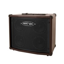 아텍 100W 어쿠스틱 기타앰프 A100TS