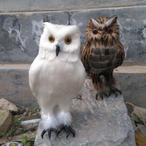 비둘기가싫어하는것 모조독수리 과수원 농작물보호, 22cm색상