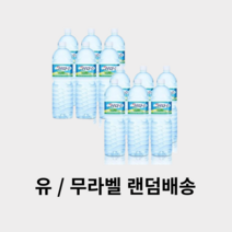 제주 삼다수 2L 6개 12개 500ml 20개 40개 가정배달 업소용 음료 생수, 2L x 12개