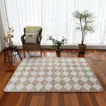 효성카페트 래디우스 카빙 극세사 러그 카페트 60x180cm
