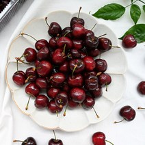 룰루네상점 미국산 생 체리 2kg 고당도 항공직송 로얄사이즈 칠레산