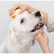 나리치 애견 샴푸브러쉬 강아지 고양이 목욕솔 실리콘브러쉬 샴푸일체형, 블루, 하트