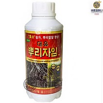 뿌리발근제500ml - 배추 고추 뿌리활착 뿌리발근제 비료 식물영양제 모두싹, 1개, 500ml