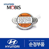 트라제XG 순정 라디에이터 캡 뚜껑 (1999-2006.10)