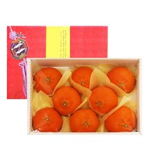 제주 레드향 선물세트 특과 3kg (9-11과), 단품없음