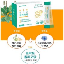 차전자피 프로바이오틱스 프리바이오틱스 유산균 분말 가루 식이섬유 쾌변 장건강 2중성 기능원료 건강기능식품 6gx30스틱, 30포