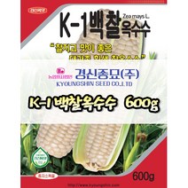 경신종묘 백찰옥수수 600g 파종용 옥수수 씨앗 당일발송