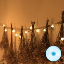 어반 LED 크리스마스장식전구 유리부착세트, 앵두30구 기본점멸 유리부착세트