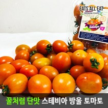 이츠올릿 산지직송 꿀맛 스테비아 방울 토마토 500g 단 대추 토망고