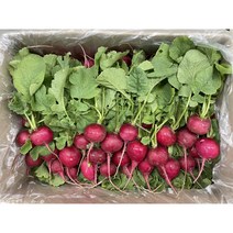 적환 레디쉬 나라쉬 500g