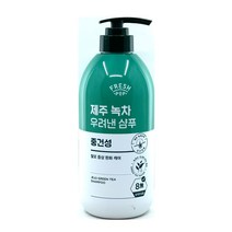 프레시팝 제주 녹차우려낸 샴푸700ml 중건성 1개