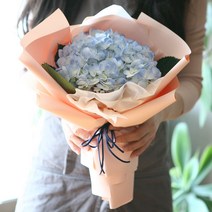 [플라워테일] 수국 꽃다발 생화택배 꽃정기구독 전국꽃배달 서비스 여자친구 와이프 부모님 생신 생일 결혼기념일 100일 200일 1주년 선물, 블루수국(생화)
