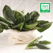 농사꾼아내 무농약 친환경 시금치 500g/1kg, 무농약 시금치 500g