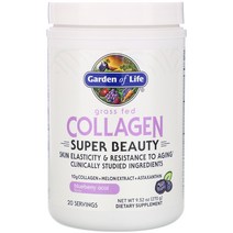 가든오브라이프 Grass Fed 콜라켄 Super Beauty Blueberry Acai 9.52 oz (270 g)