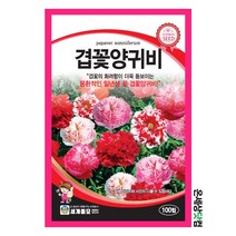 겹꽃양귀비 100립 / 꽃씨 종자 화단 정원 일년생