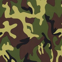 수전사 필름 카본 자동차 휠 물전송 Hydrodipping 필름 PVA 인쇄 레이저 딥 자동차 헬멧 오토바이 장식, 12 14_01 50x100cm