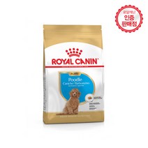 로얄캐닌 강아지사료 _주니어 _ 푸들 퍼피 3kg (1.5kg 2개), 1개