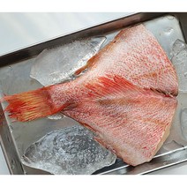 반건조 장문볼락 1+1 총 2마리 볼락 생선구이 순살 열기, 반건조 장문볼락 대 2미 (420g)