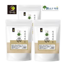 ﻿차전자피 가루 차전자피분말 식이섬유 섬유질 많은식품 대용량 1kg 2kg 3kg, 3팩