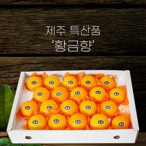제주직송 하우스 새콤달콤 고당도 황금향 3kg 4kg 5kg 가정용 선물용