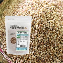 농협 [농협] 무농약 차수수 1kg, 기타